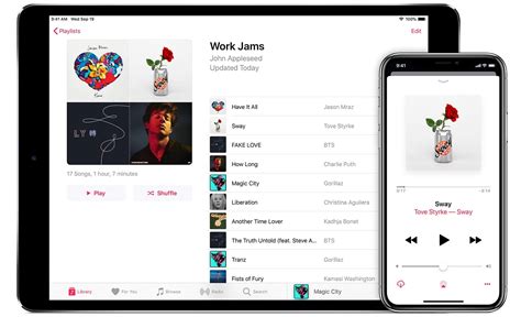 How to See How Many Songs in Apple Music Library iPhone: A Symphony of Digital Organization