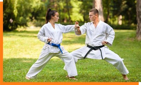 Which Martial Art Should I Learn: A Quiz and Discussion on the Many Styles to Explore